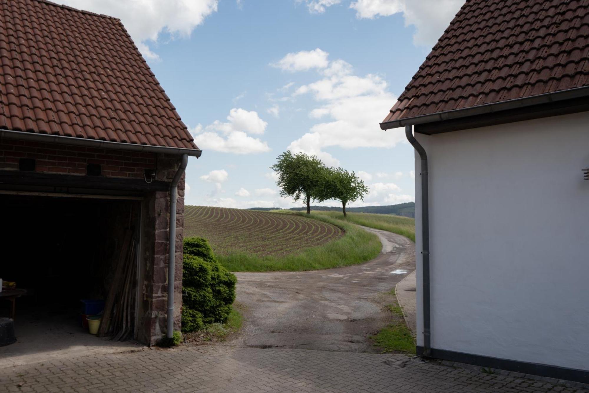 Idyllische Ferienwohnung Im Kalletal Exterior foto